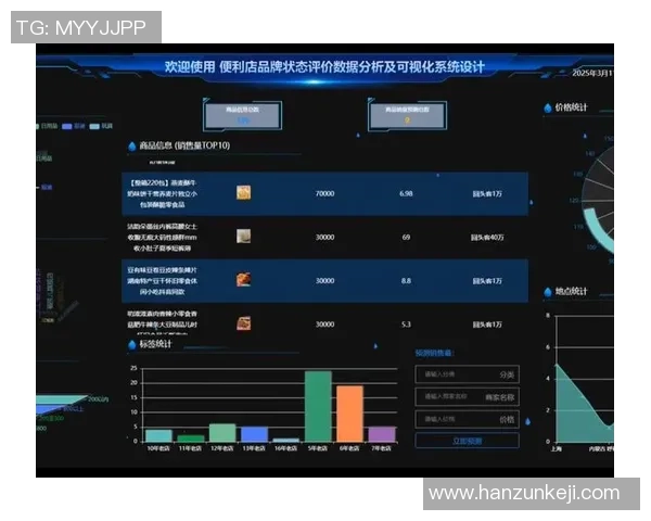 北京排球队在挑战赛中的技术表现分析与点评探讨