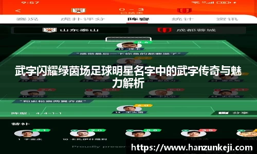 武字闪耀绿茵场足球明星名字中的武字传奇与魅力解析